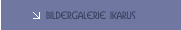 Bildergalerie IKARUS