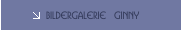 Bildergalerie  GINNY