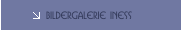 Bildergalerie INESS