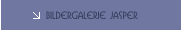 Bildergalerie JASPER