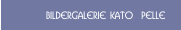 Bildergalerie KATO